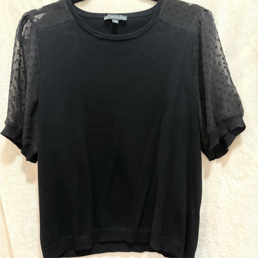 Adrianna Papell Black Top with Sheer Sleeves
